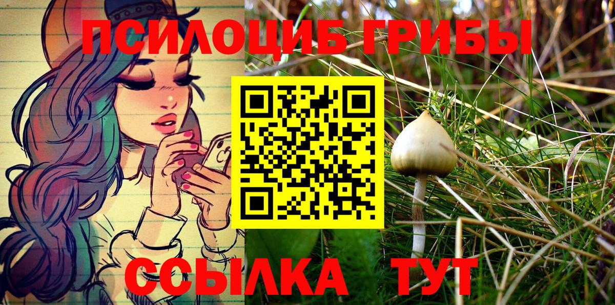 Галлюциногенные грибы MAGIC MUSHROOMS Белово