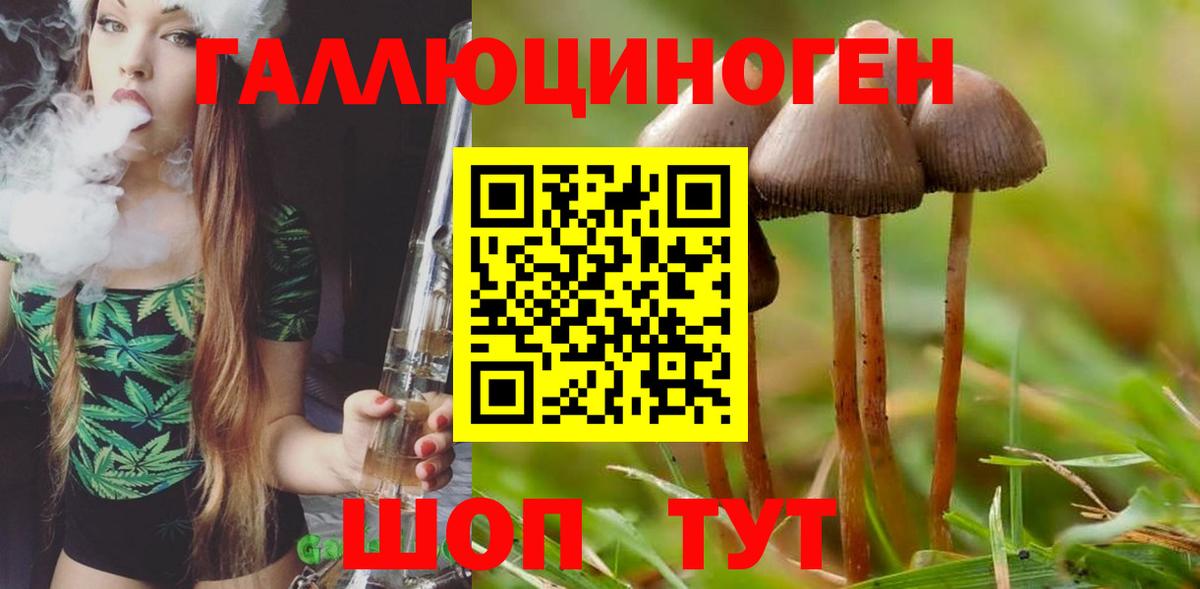 Галлюциногенные грибы GOLDEN TEACHER  Вход с VPN  Белово 